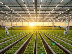 스마트농업 교육장 추가 조성 …시설채소 고온 피해 저감 신기술 보급 박차